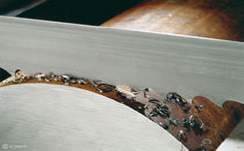 梅州带锯床线速度设定过高，为什么会导致带锯条齿尖发热加速锯条的磨损？